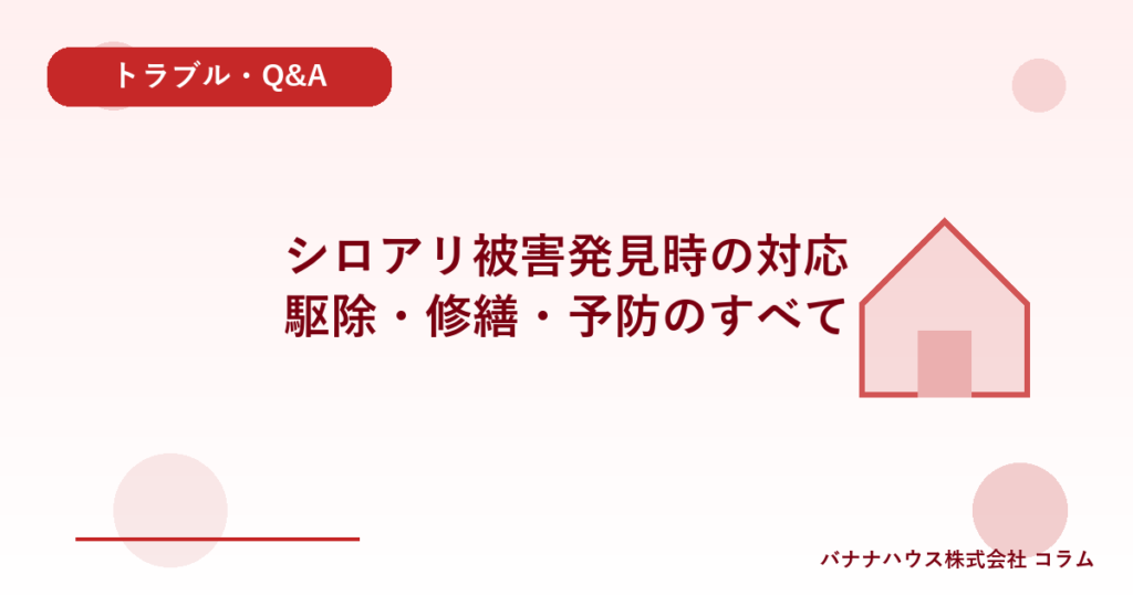 シロアリ被害発見時の対応｜駆除・修繕・予防のすべて
