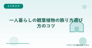 一人暮らしの観葉植物の飾り方選び方のコツ