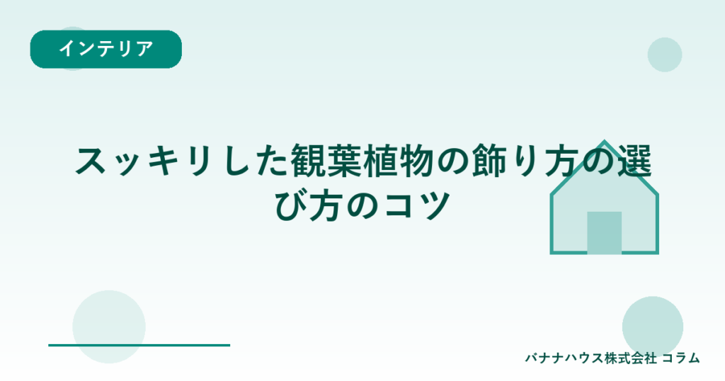 スッキリした観葉植物の飾り方の選び方のコツ