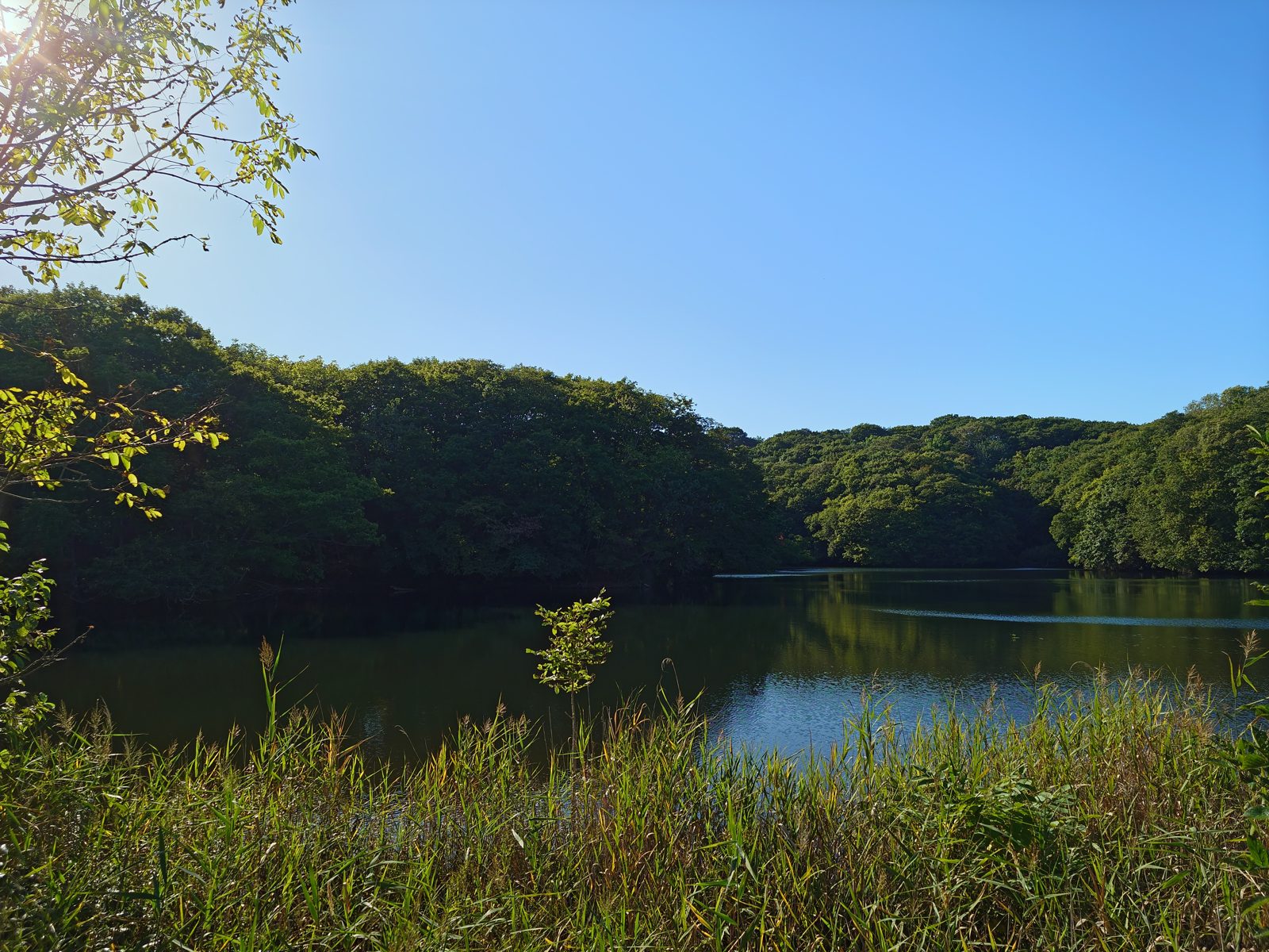 錦大沼公園の大沼。樽前山の麓に広がる自然公園です